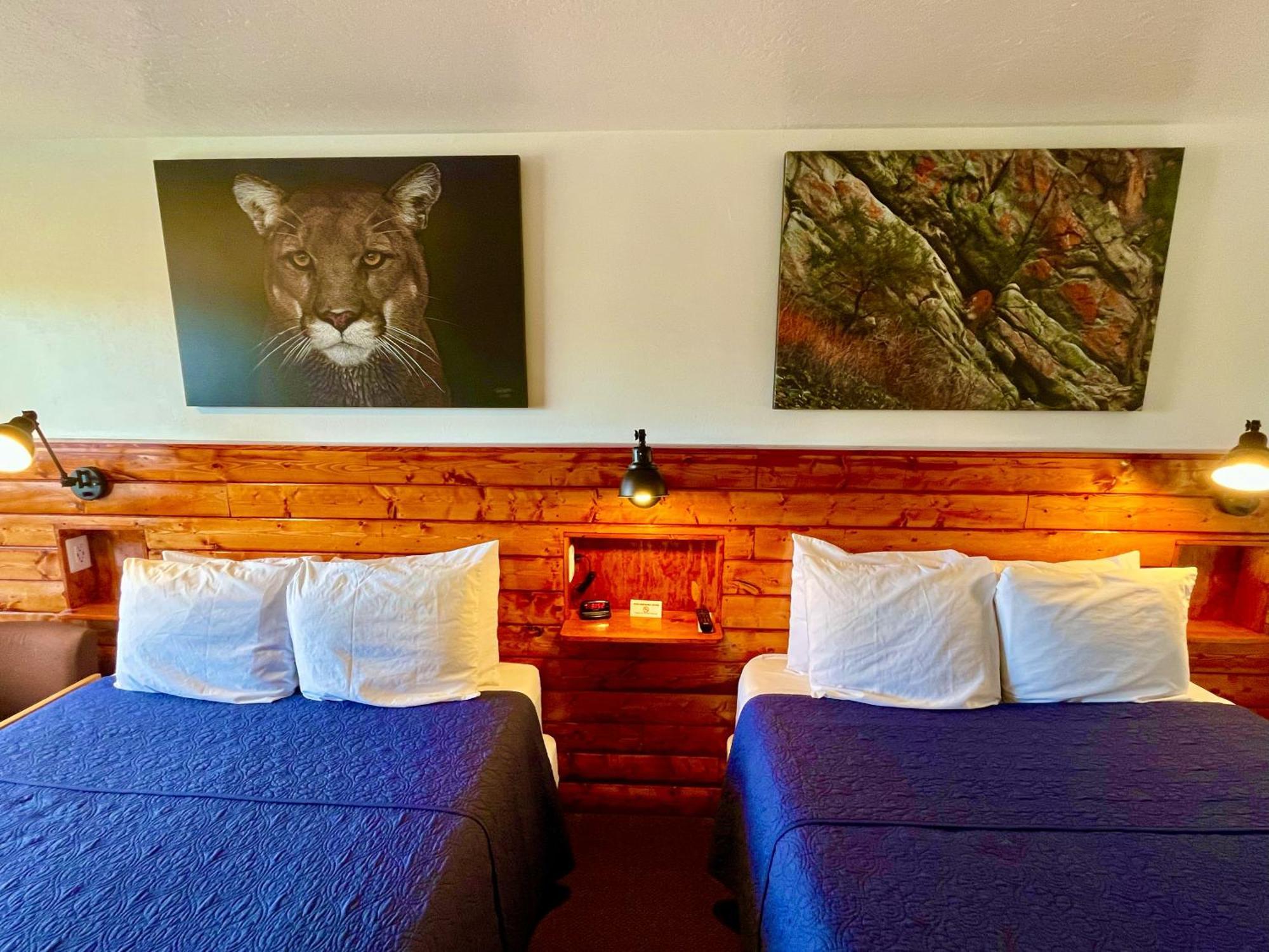 Red Bear Inn Ennis Zewnętrze zdjęcie