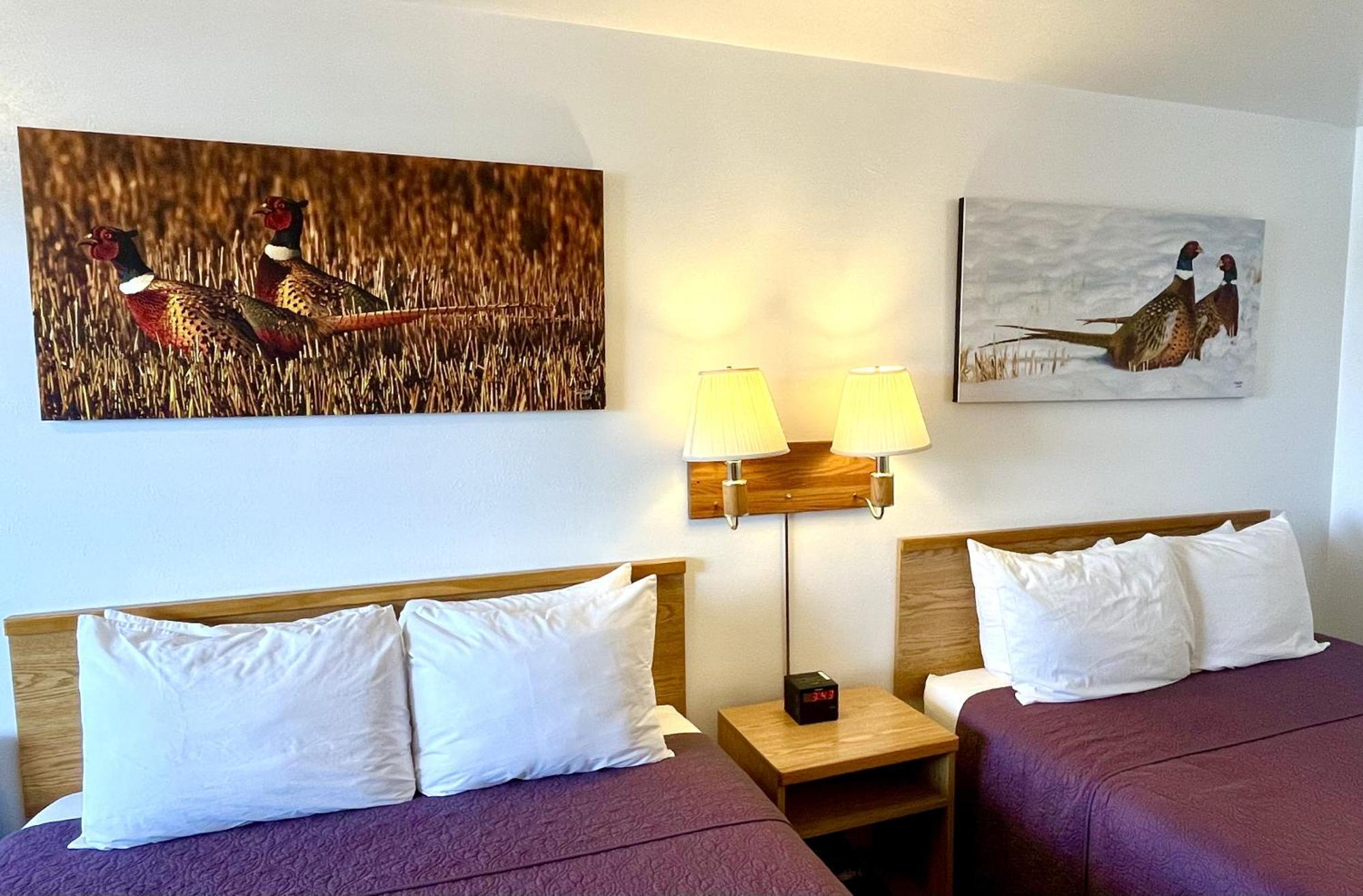 Red Bear Inn Ennis Zewnętrze zdjęcie