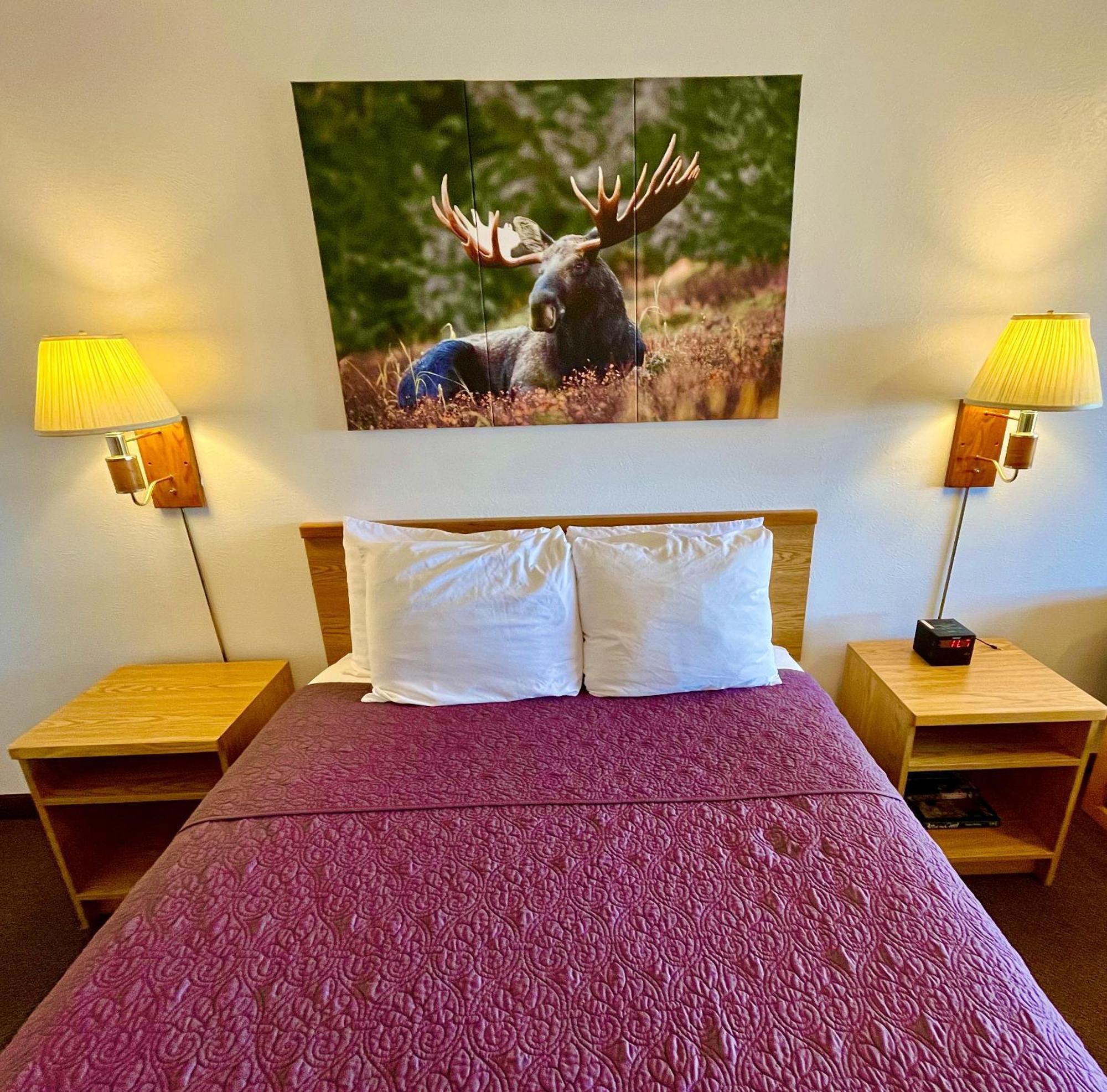 Red Bear Inn Ennis Zewnętrze zdjęcie
