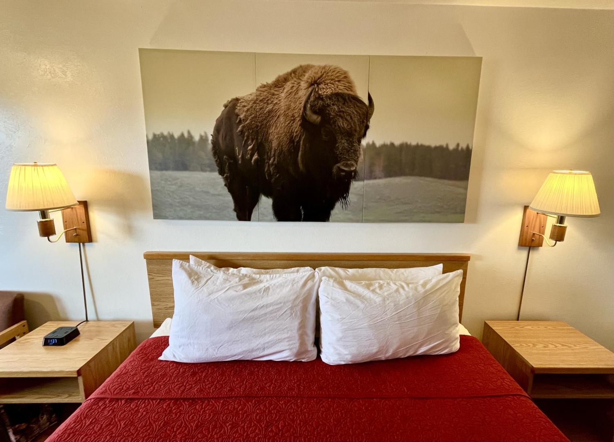 Red Bear Inn Ennis Zewnętrze zdjęcie